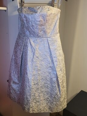 Ivory And Silver Strapless Cocktail Dress